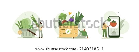 Grocery vegetables illustration set. Character buying online fresh organic vegetables, putting in shopping basket and veggie box delivery. Local production support concept. Vector illustration. Royalty-Free Stock Photo #2140318511