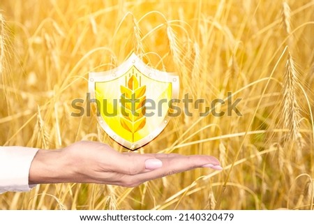 Farmer's hand with protection icon and ear of wheat on wheat field background. The concept of reduced production, shortage of cereals. War and famine. High quality photo