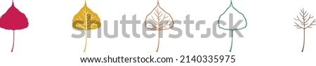 Poplar leaf solid, outline and veined vector EPS file (set - 5 types of vector images in one file)