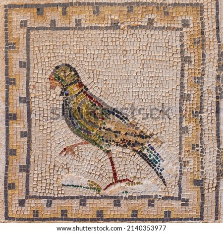 Mosaic of a parrot on the floor of the House of the Birds in Italica, an archaeological site at the outskirts of Seville