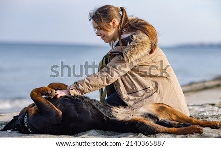 A cheerful young dark-haired girl in a warm beige jacket sits near her favorite funny big dog of the Rottweiler breed, and strokes, and sniffs her belly on a sandy beach near a stormy sea