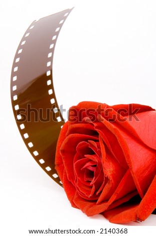 "Love film" - Gorgeous red Rose with film.  ISOLATED