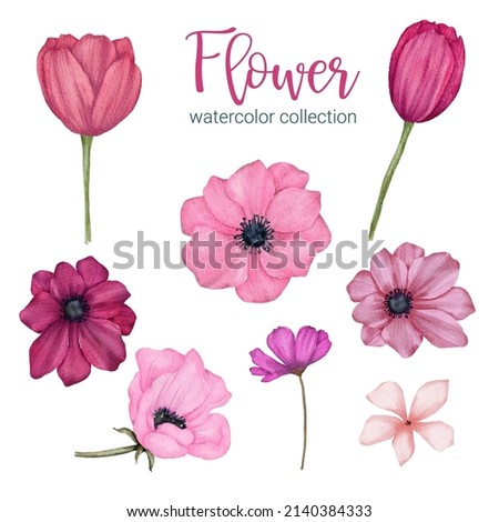 Set of Separate parts and bring together to beautiful bouquet of flowers in water colors style on white background, flat vector illustration