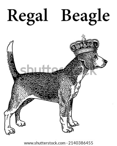 A fun black and white illustration of a Beagle dog wearing a crown.