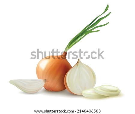 Realistic whole and sliced yellow onion with sprouts composition against white background vector illustration Royalty-Free Stock Photo #2140406503