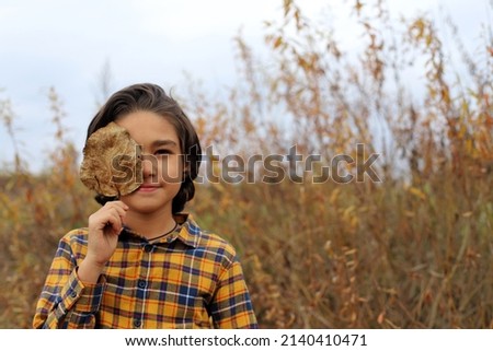 photo shoot of a boy in the fall on the field.