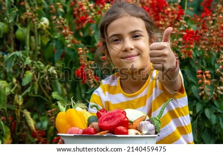 A child holds a harvest of vegetables in his hands. Selective focus. nature.