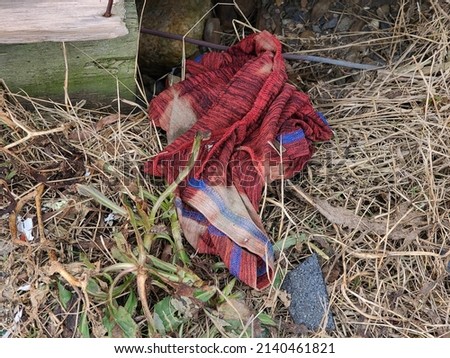 An old rag lying in some dead grass on the side of the road. This lost piece of apparel has become pollution.