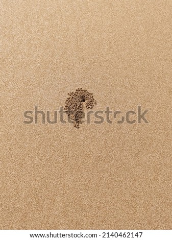 Beach Sand Art. Sand Texture. Sand pictures. Beach. Sand textures. Natural art. Fibonacci