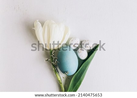 Happy Easter! Stylish Easter egg and tulip flat lay on rustic white wood, space for text. Natural dyed blue egg and spring flower composition, minimal layout. Greeting card