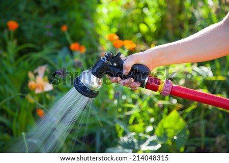 Watering flowers in the garden 