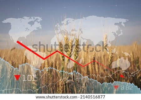 Global and European grain and wheat crisis after Russia's invasion of Ukraine. Ukraine and Russia world's largest exporters of grain Royalty-Free Stock Photo #2140516877