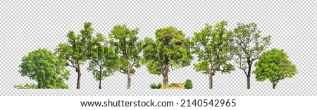 Green Trees isolated on white background.are Forest and foliage in summer for both printing and web pageswith cut path and alpha channel Royalty-Free Stock Photo #2140542965