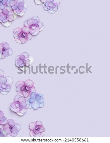 Minimal floral background with fresh Hydrangea flower, Very Peri colored flat lay. Monochrome image with fresh flowers and copy space. Holiday card or invitations for Mothers day, 8 March, Womens day.