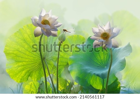 Beautiful white lotus flower and dragonfly in the lake Royalty-Free Stock Photo #2140561117