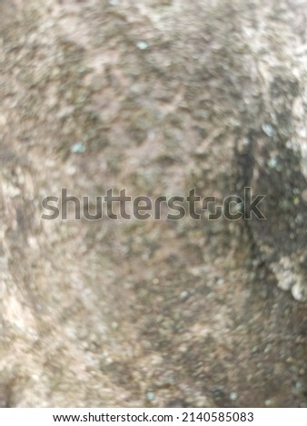 Defocused Abstract Grey Background of Bark