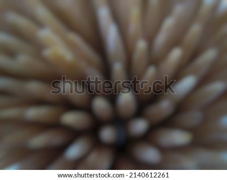 Toothpick tip viewed from above. Defocus abstract background.