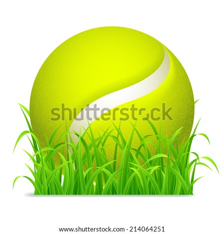 Tennis ball on green grass.