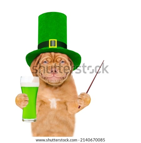 St Patrick's Day concept. Funny Mastiff puppy wearing hat of the leprechaun holds  glass of green beer and points away on empty space. isolated on white background
