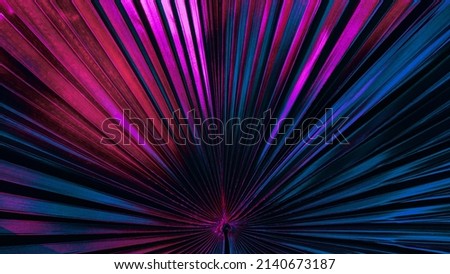 light and shade on palm leaf background, blue purple toned Royalty-Free Stock Photo #2140673187