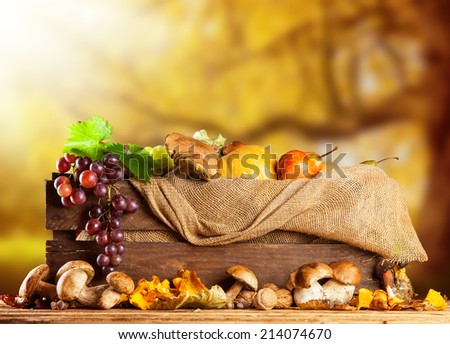 Seasonal harvested agriculture products in wooden box with blur background