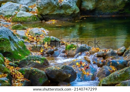 Autumn photography. Mountain Creek. A wise man knows that it is better to sit on the banks of a distant mountain stream than to be the emperor of the whole world.