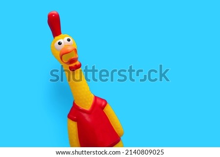 Rubber toy in the form of a rooster on a blue background. The funny toy rooster has a surprised and dumbfounded look with its beak open. The toy makes a loud sound. Free space for text