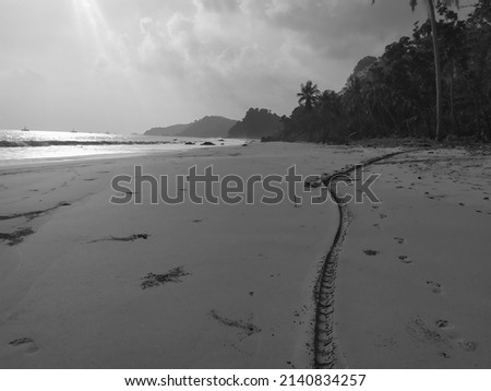 monochrome portrait of motorcycle tracks on beach sand, beach, motorcycle trails, travel
