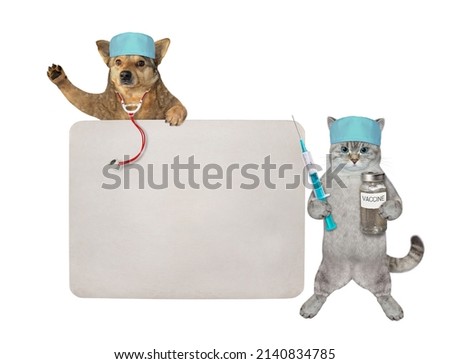 A beige dog and an ashen cat doctors in medical hats vaccinate near blank sign. White background. Isolated.