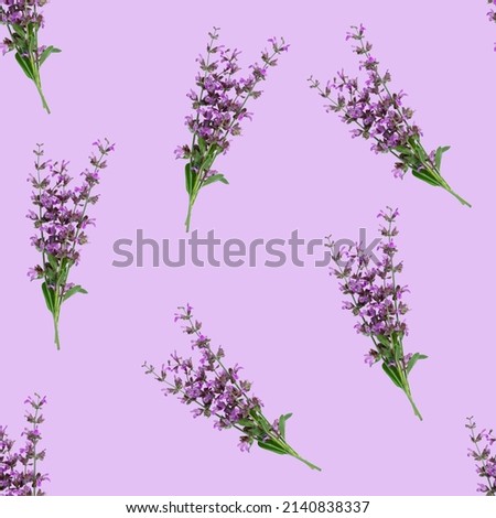 Seamless pattern with sage flowers on purple background.  Textile fabric design.  Design for textiles, cards, wallpapers. Provans style.