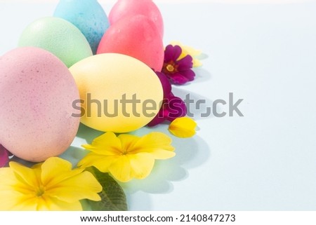 Easter colored eggs on a colored background