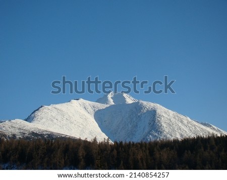 Beautiful mountains in winter season covered with snow, beautiful blue sky and pine trees. High Tatras, Slovakia, High Tatras