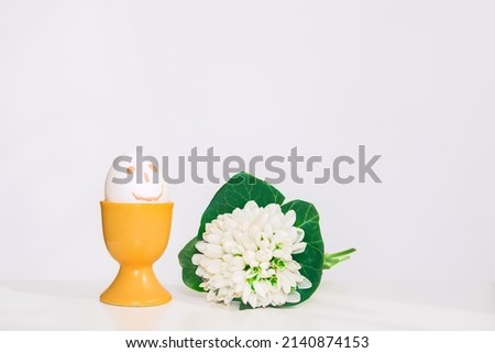 happy egg with flowers of snowdrop, easter concept