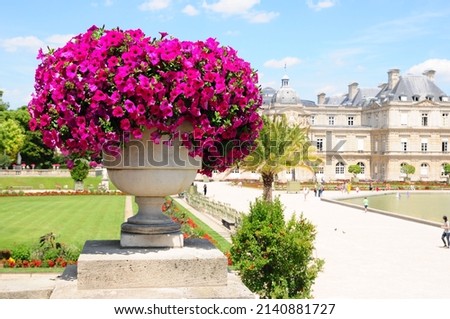 Blooming flowers in a pot in the Luxembourg Gardens in Paris.