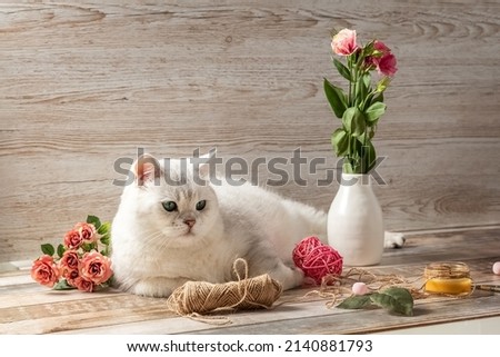 White British cat, flowers and accessories for needlework. Postcard. Photo