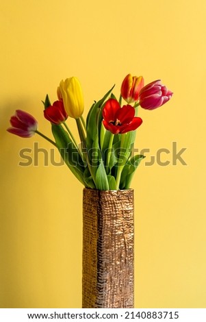 Multicolored tulips on pink background with copy space for text. Bouquet of spring flowers. Isolated on pink background. Mother's Day, Valentines, Anniversary, Easter, Birthday. Royalty-Free Stock Photo #2140883715
