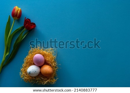 Stylish background with colorful easter eggs isolated on blue background with colorful tulip flowers. Flat lay, top view, mockup, overhead, template Royalty-Free Stock Photo #2140883777
