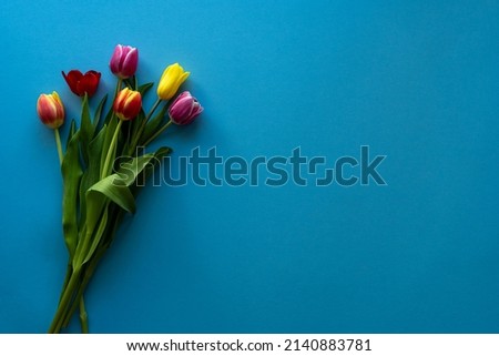 Multicolored tulips on blue background with copy space for text. Bouquet of spring flowers. Isolated on blue background. Royalty-Free Stock Photo #2140883781