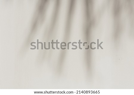 Beige concrete background with palm tree leaves shadows silhouette for copy space. 