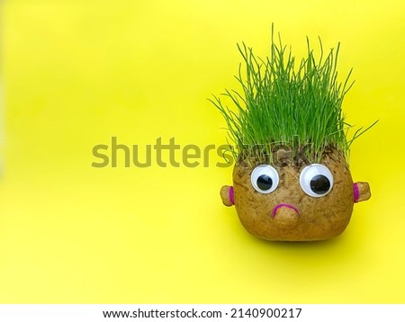 Handmade funny eco toy. Plant on the yellow. Lawn grass.