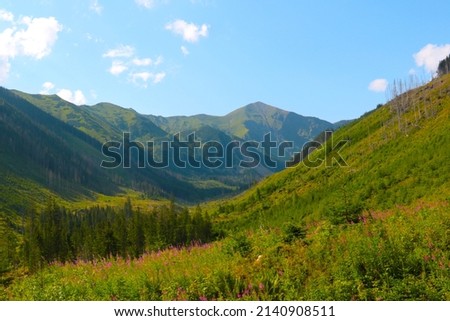 A picturesque view of the green mountains on a sunny summer day