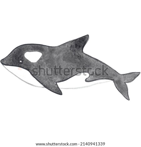 killer whale watercolor illustration for decoration on sea life and ocean. 