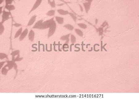 Shadow of rose leaves on pink concrete wall texture with roughness and irregularities. Abstract trendy colored nature concept background. Copy space for text overlay, poster mockup flat lay  Royalty-Free Stock Photo #2141016271