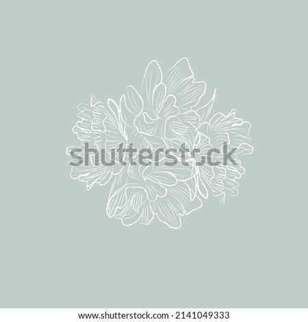 Flora lines on a white background for your ideas