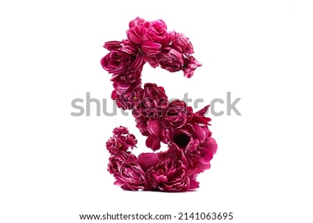 Creative Letter S of red flowers. Spring mood. Alphabet. Creative letters. Letter S