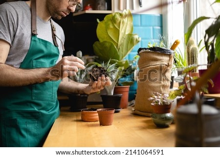 Young man examine root systems and roots