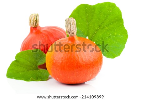 yellow pumpkins vegetables with green leaves isolated on white background