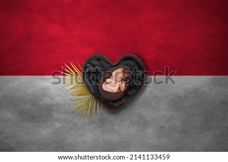 Newborn portrait in heart on background of national flag. Photography peace concept. Monaco
