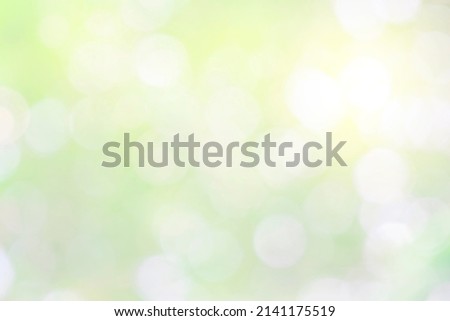 Nature bokeh blur abstract background. Sunlight bokeh on green leaf tree foliage, blurred leaves forest sunny day in spring or summer
