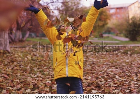 a photo shoot of a boy in the fall in the park.